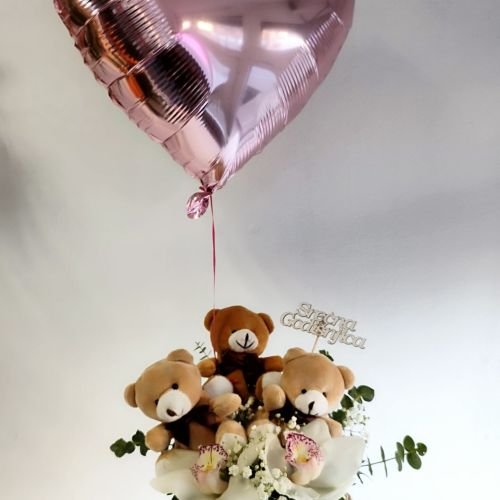 Kofa – Meda & Orhideja & Helijum balon