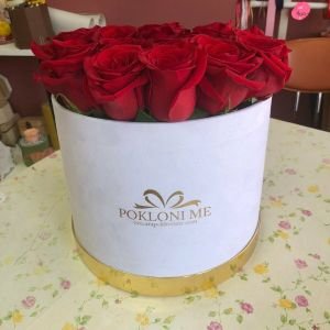 Plišana okrugla kutija "Pokloni me" sa 17 ekvador ruža + Poklon čestitka